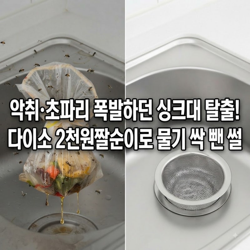 "음식물 쓰레기 냄새·초파리 제로" 다이소 2,000원 밀폐 스텐 짤순이로 주방 광명 찾은 썰