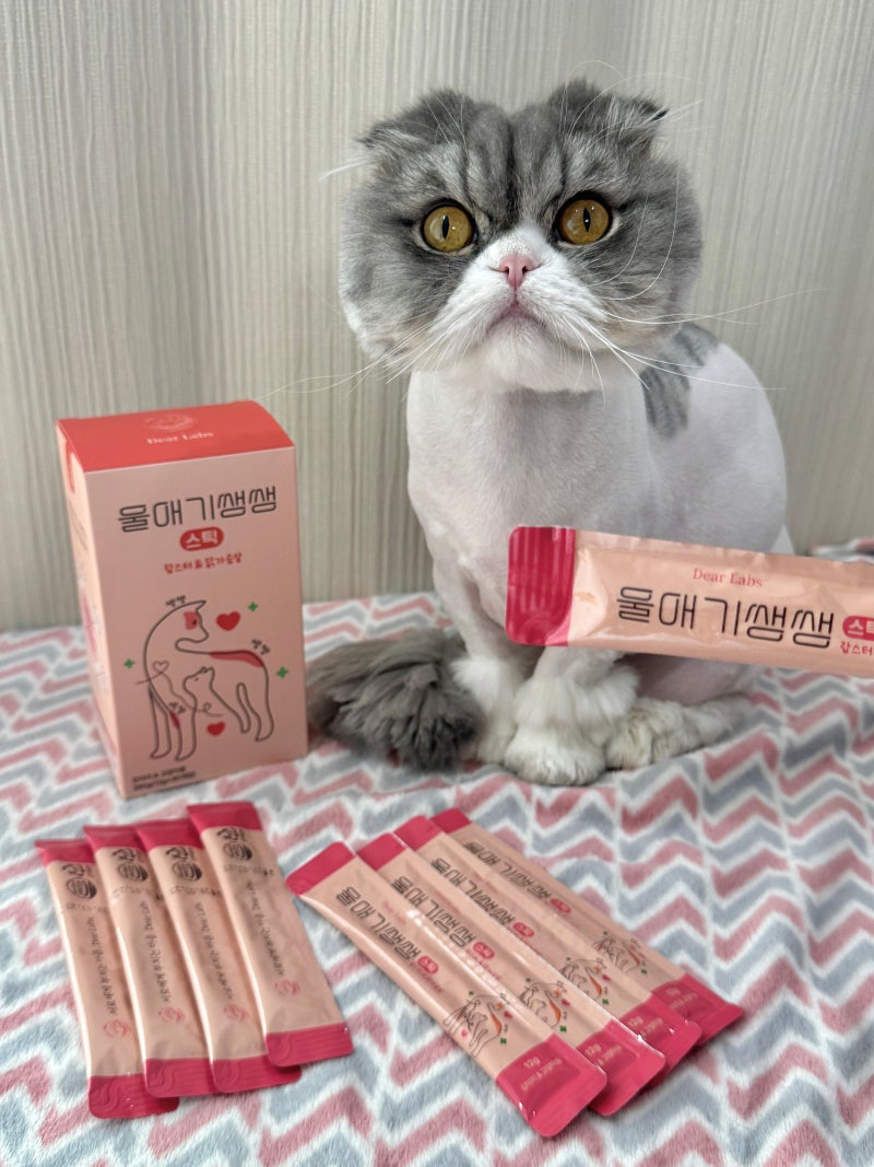 고양이 영양제 울애기쌩쌩 스틱 강아지와 고양이 급여 가능한 고양이 간식 츄르타입영양제