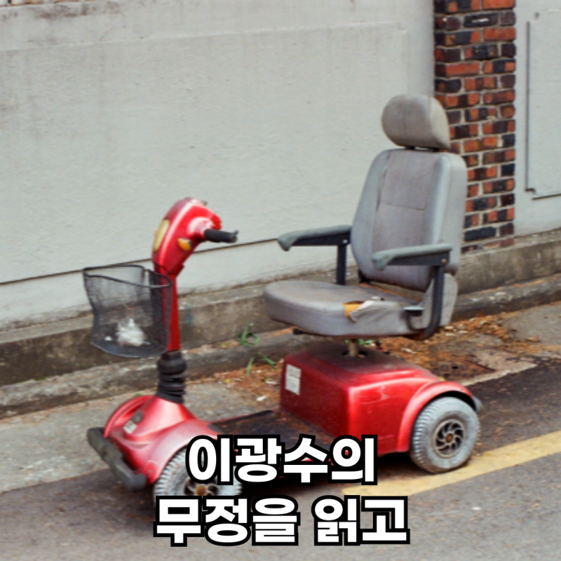 After Reading Lee Gwang-su's Mujong...