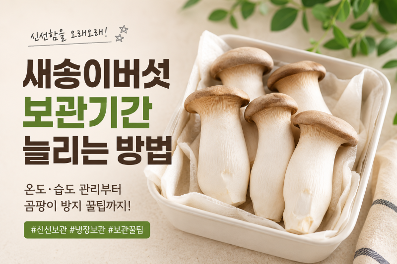 새송이버섯 보관기간 늘리는 방법