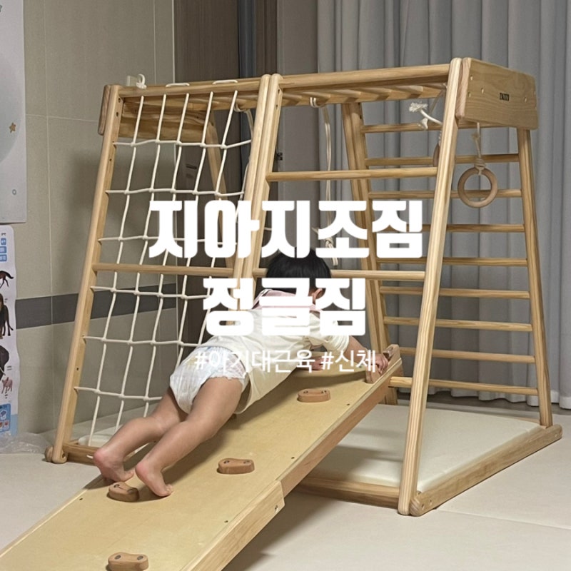 아기대근육을 위한 지아지조짐 정글짐 구매/조립/사용