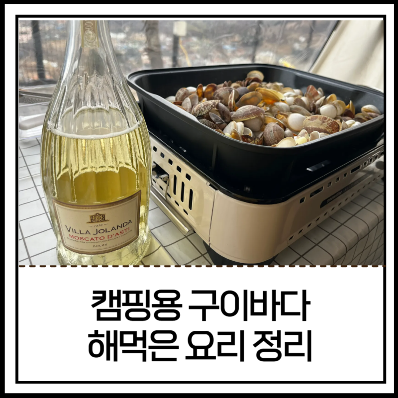 캠핑 갈 때 마다 결국 이거로 요리하는 이유, 스노우라인 구이바다