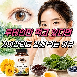 루테인 효능, 루테인지아잔틴 영양제 복용법