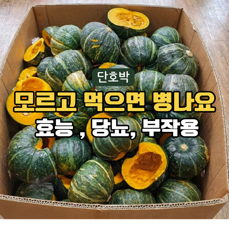 단호박 효능 칼로리 당뇨 부작용 완벽정리