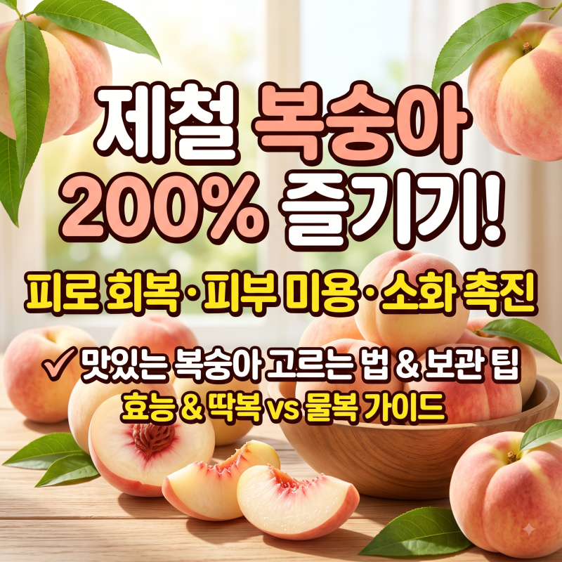 복숭아 효능 Top5 품종 및 세척방법, 먹는법, 효능, 보관방법 등 총정리