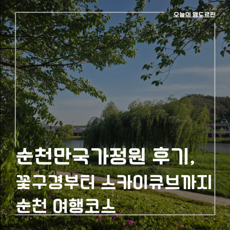 순천만국가정원 후기, 꽃구경부터 스카이큐브까지 순천 여행코스