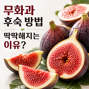 무화과 후숙 방법 완벽정리! 한 박스 사면 꼭 몇 개 버렸던 이유, 알고 보니 이것 때문이었어....