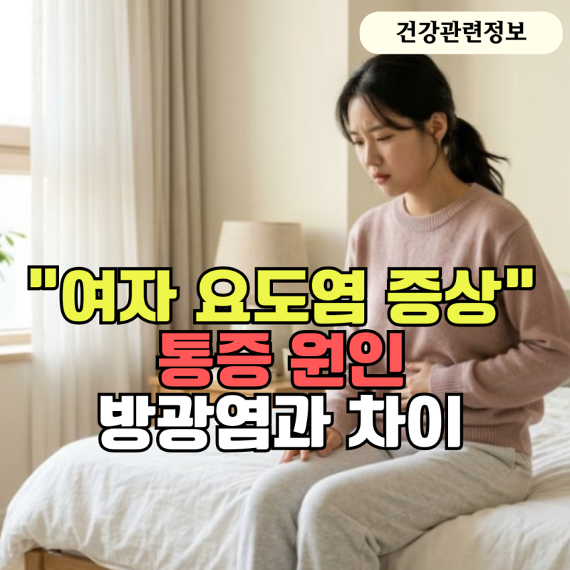 "여자 요도염 증상" 소변볼 때 통증부터 빈뇨까지 원인과 방광염 차이