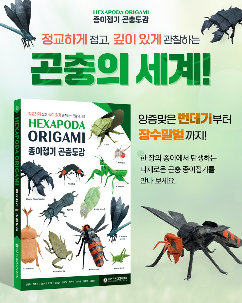 HEXAPODA ORIGAMI - '종이접기 곤충도감' "Review"