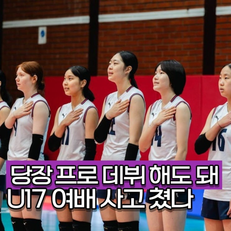 "당장 프로팀 데려와라" <b>여자배구</b> <b>U17</b> 완승 후 16강 안착 경기 일정