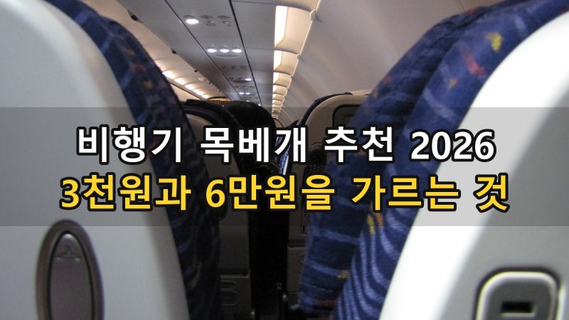 비행기 목베개 추천 2026 - 다이소 3,000원 vs 카보 68,990원, 거꾸로 써야 목이 안 꺾이는 이유