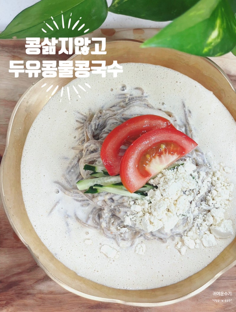 두유 콩국수만들기 저당두유와 땅콩버터로 진한 콩물 메밀 콩국수 레시피