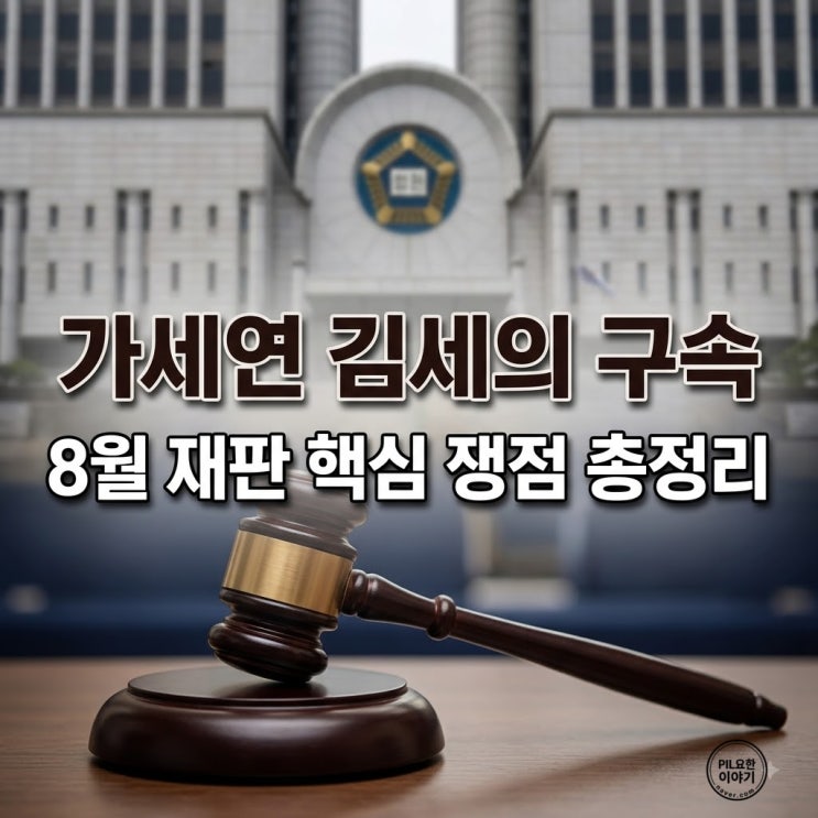 가세연 <b>김세의</b> 쯔양·김수현 <b>명예훼손</b> 혐의 총정리, 구속 재판 전망....