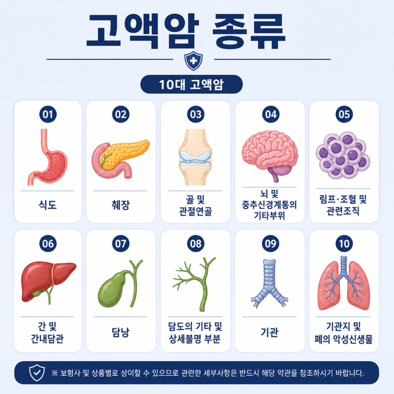 고액암 종류는 정해져 있을까? 보험 가입 전 확인할 분류 기준