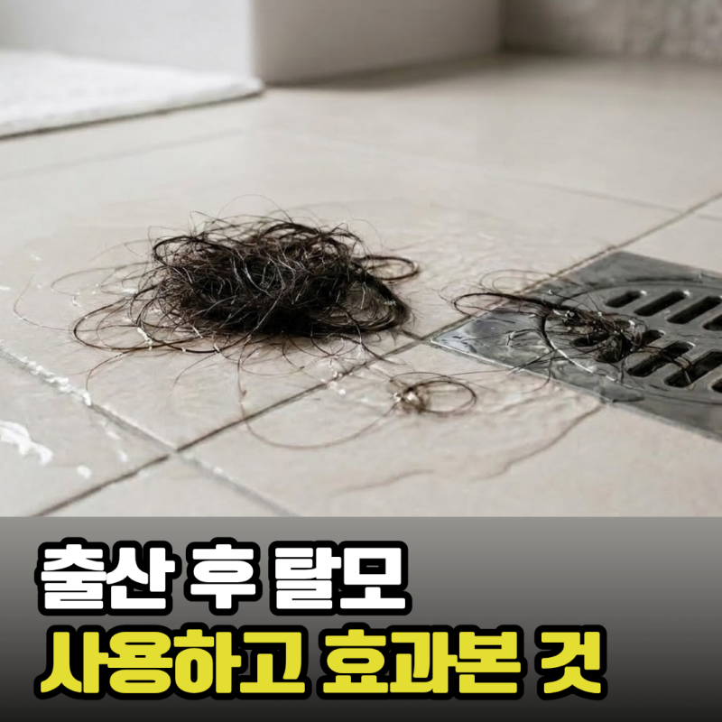 라보에이치 샴푸 내돈내산 솔직 후기, 출산후 두피 탈모 해결