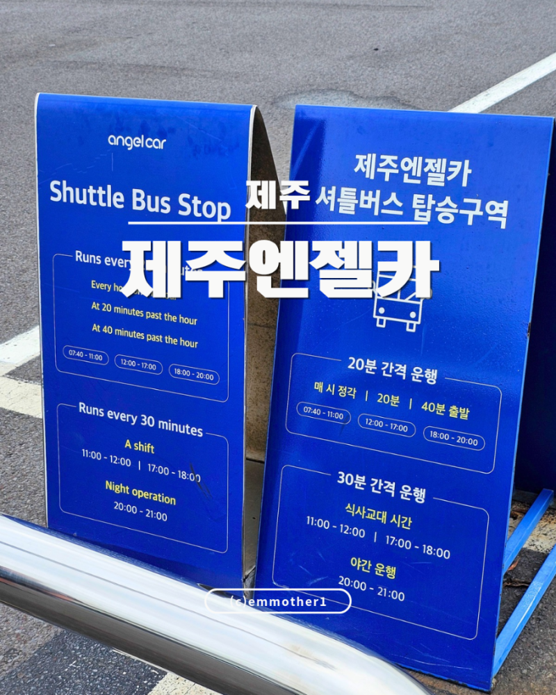 제주도 아기랑 강아지 동반 여행 제주엔젤렌트카 카시트 대여 제휴할인 찐후기