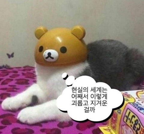 미소 청소알바, 이 글 보고 결정하세요｜추천과 비추천 사이 직접 해본 지인 후기