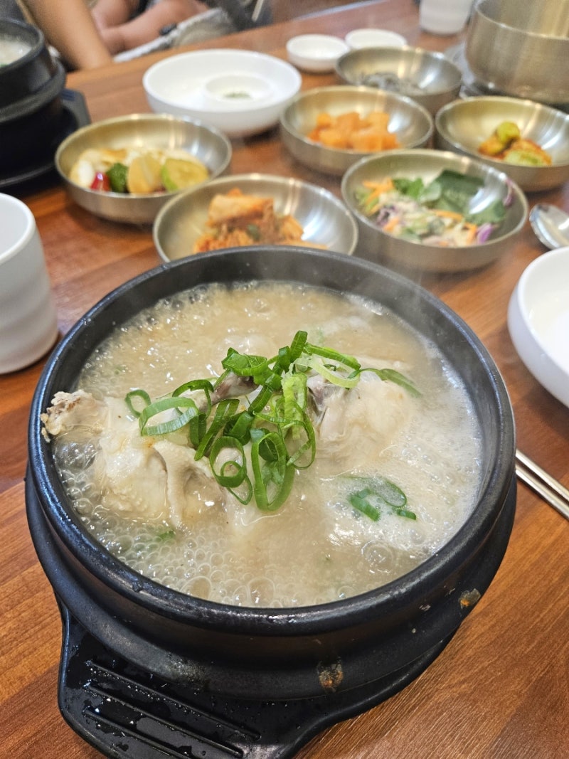 대전 한밭수목원 맛집 유담헌 | 백숙·감자전이 맛있는 아이랑 가기 좋은 식당 후기