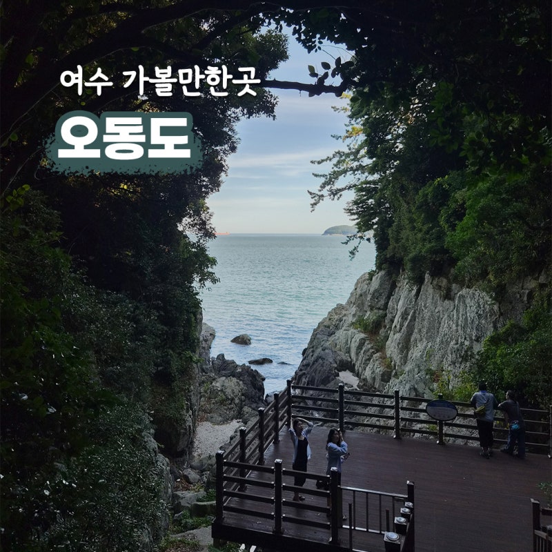 여수 오동도 동백열차 요금 시간표 자전거 대여 여수 혼자 가볼만한곳
