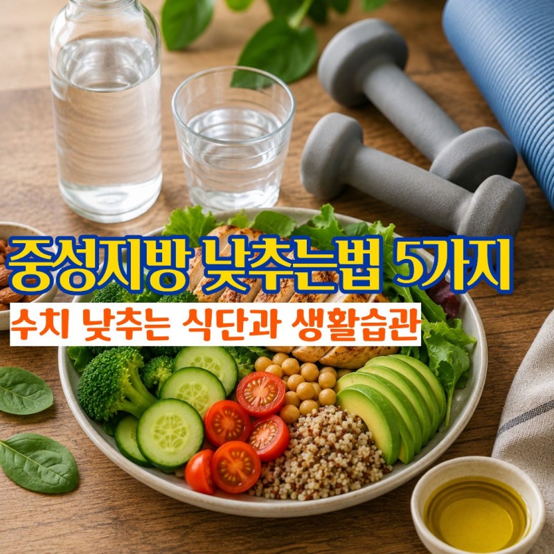 중성지방낮추는법 수치 낮추는 식단과 생활습관 5가지