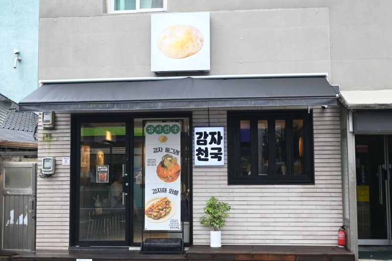 강원 강릉 맛집 감자 타코야끼의 전문점 중앙시장 포장 감자천국