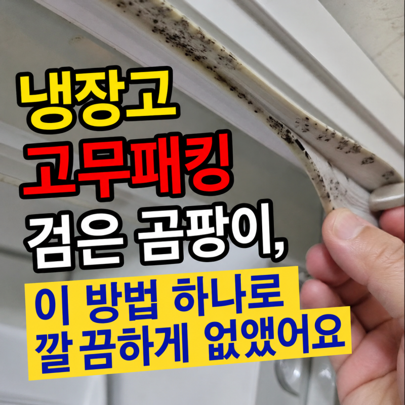 냉장고 고무패킹 검은 곰팡이, 이 방법 하나로 깔끔하게 없앴어요