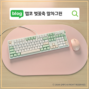 사무실 무소음키보드 추천 앱코 벚꽃축 108 사무실에서 써본 후기