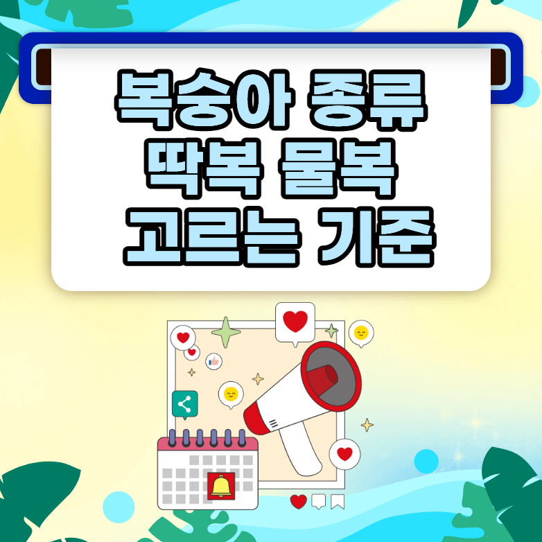 복숭아 종류 백도 황도 천도부터 딱복 물복까지 고르는 기준