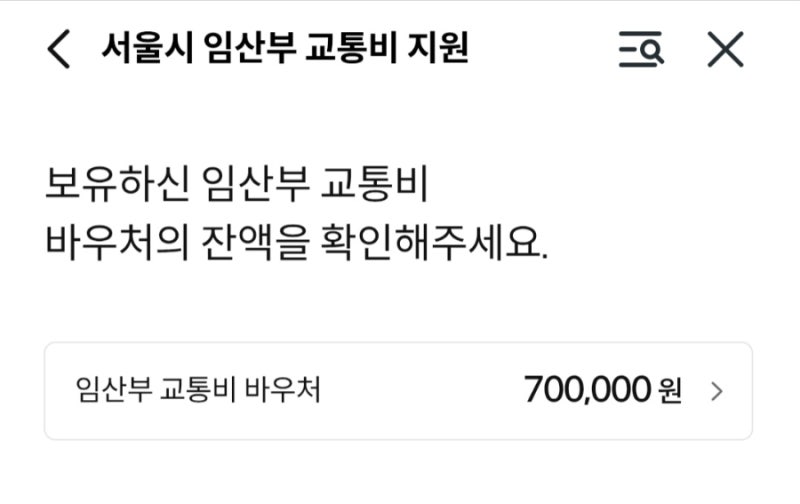 서울시 임산부 교통비 70만원｜바우처 잔액 확인 방법 & 후불교통 차감 시점