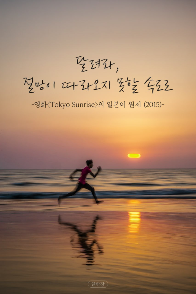 2026.08.12(수) 경제 뉴스 모음