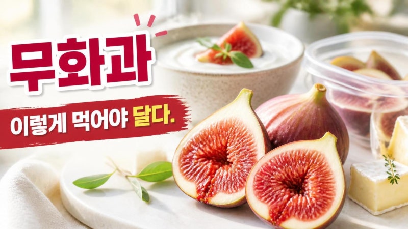 무화과 먹는법 총정리: 씻기부터 보관까지 단맛 살리는 실전 팁