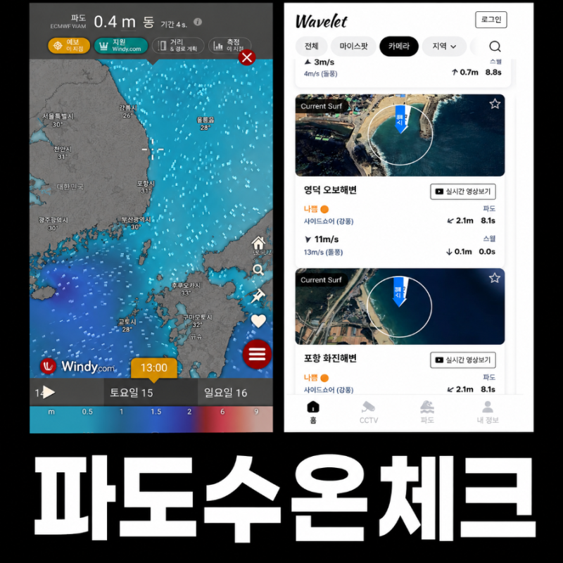영덕 포항 바다 수온 CCTV 어플 2가지 추천 windy wavelet