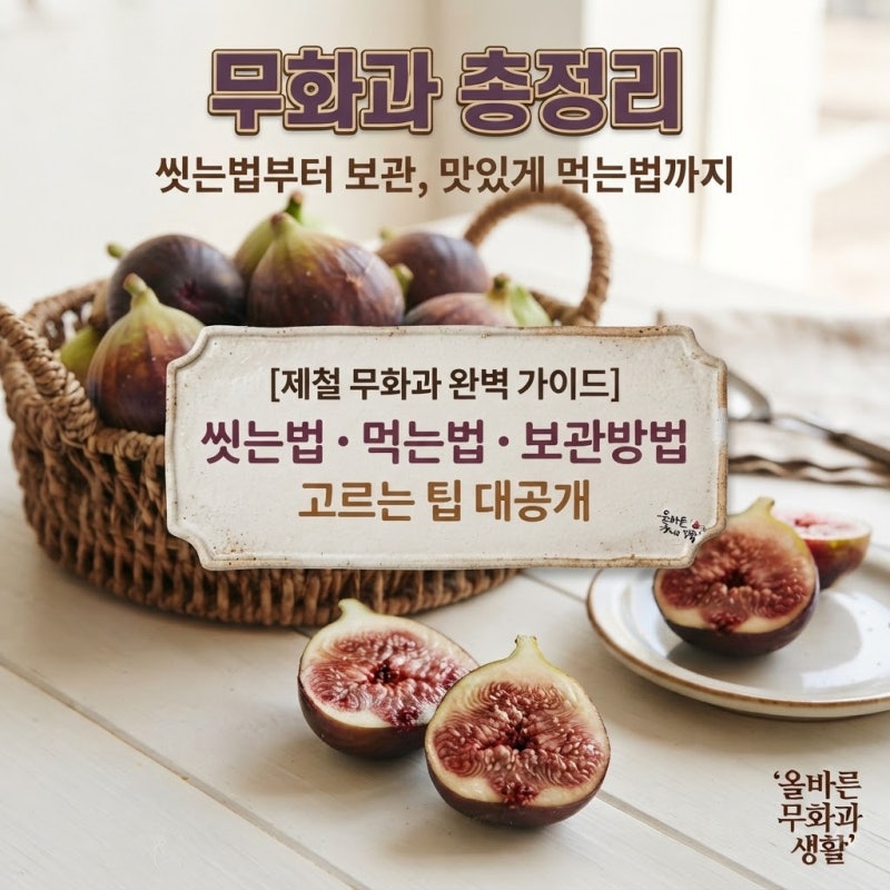 무화과 씻는법 먹는법 보관방법 총정리｜제철 무화과 고르는법부터 맛있게 먹는법까지