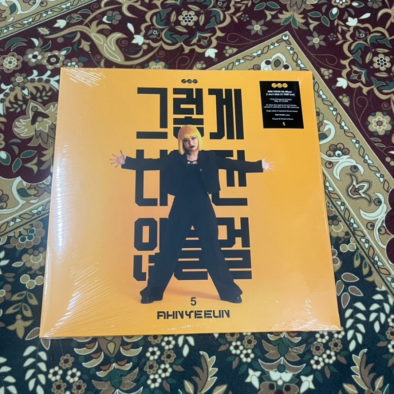 안예은 5집 - 그렇게 나쁘진 않을걸 LP