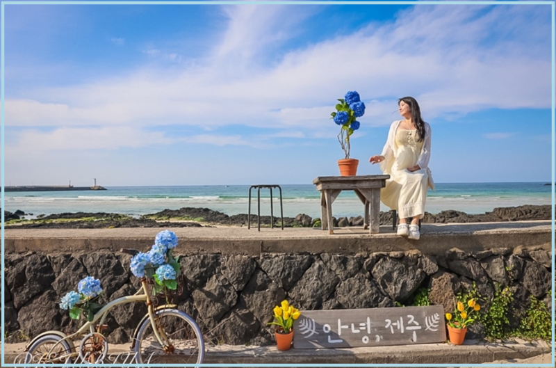 제주 세화해수욕장 주차 스노쿨링 물때 아이와 가볼만한곳