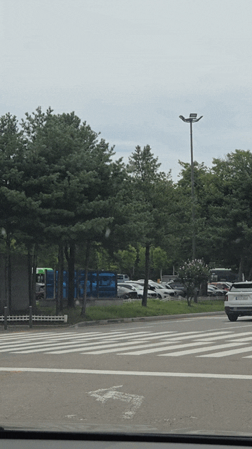 (1)首爾樂園年票最後一天造訪日~~意外的「眼色遊戲」成功！