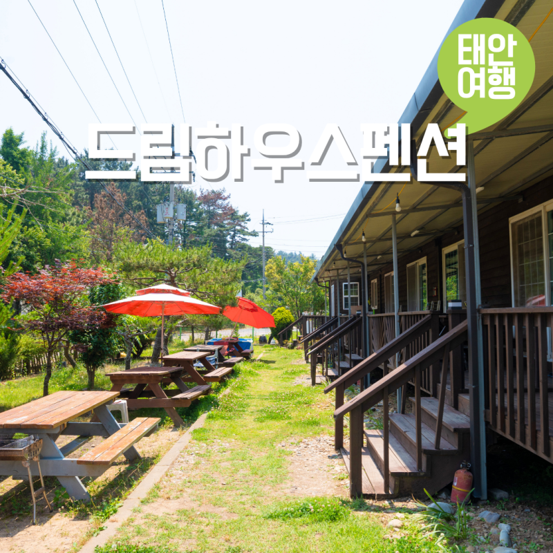 태안 몽산포펜션 추천 드림하우스펜션 태안 여행 코스 해루질 낚시체험