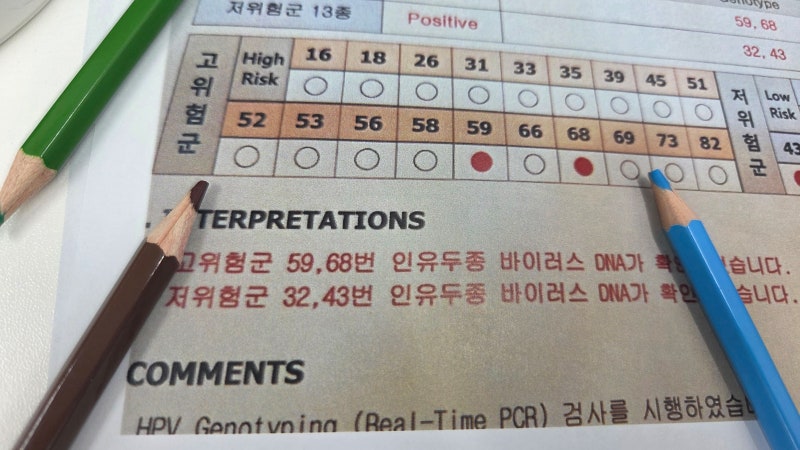 HPV 16 18 31 33 35 45 52 58 고위험군 암 유발 순위 정리해서 알아보자