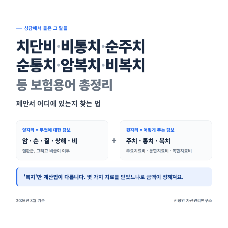 치단비·비통치·순주치·순통치·암복치·순주치·비복치등 보험용어 총정리