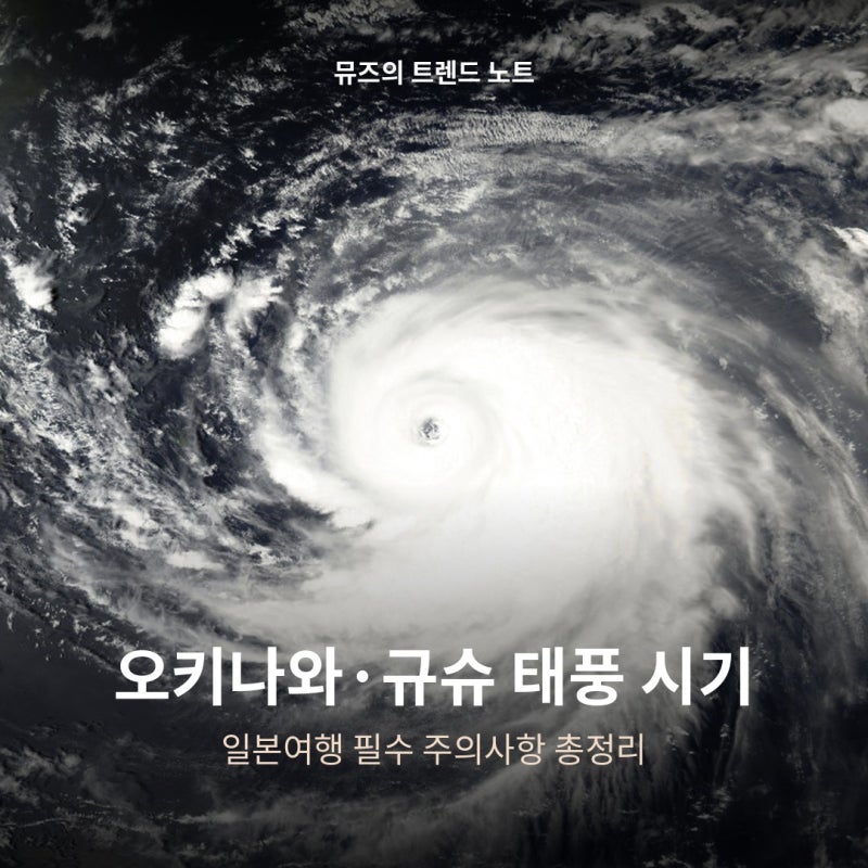 오키나와·규슈 태풍 시기와 일본여행 주의사항 총정리 (필수 체크리스트 포함)