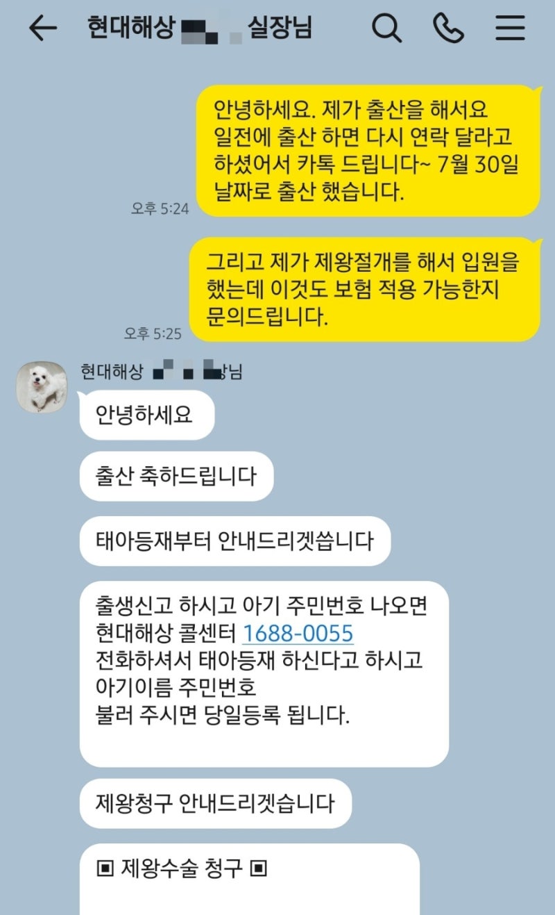 제왕절개, 설소대 현대해상 보험청구방법 및 보험추천!