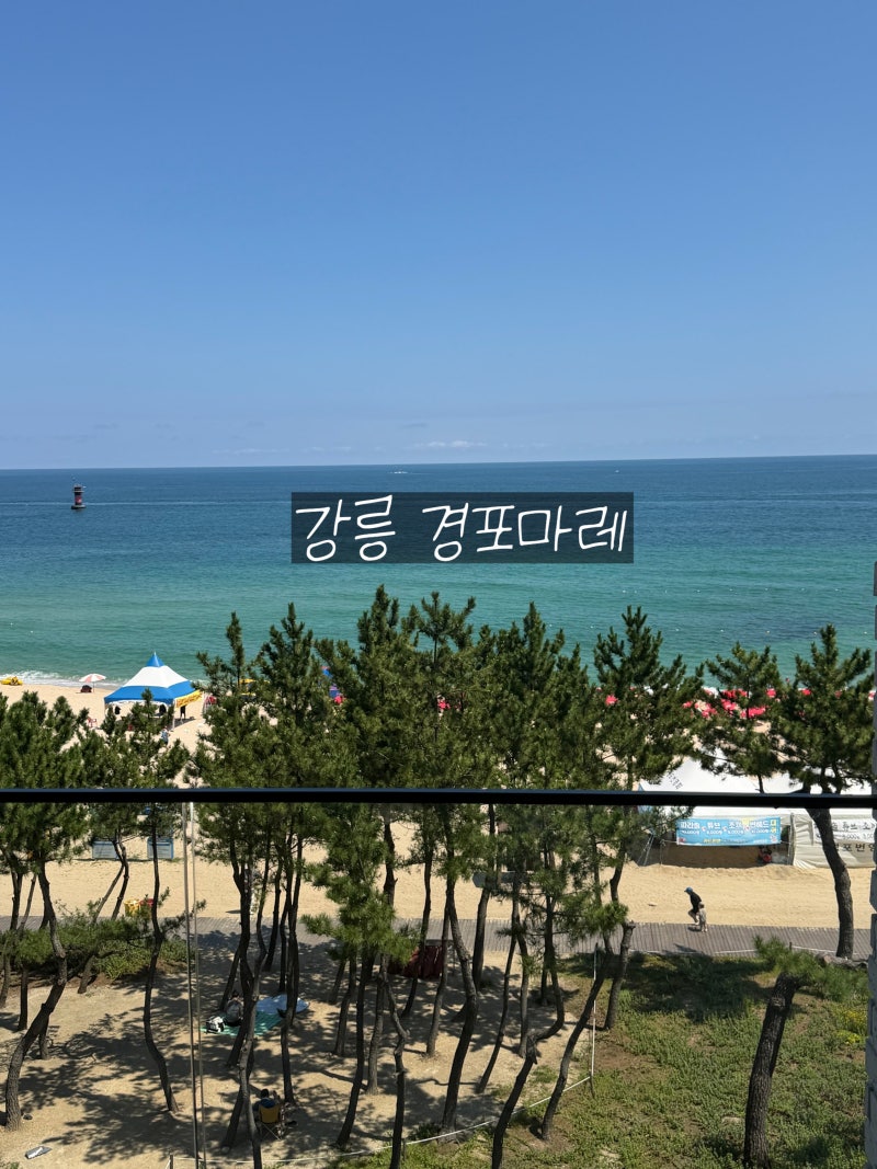 [강릉 숙소,호텔 추천] 강릉 경포 오션뷰 바다뷰 호텔,경포 마레 호텔