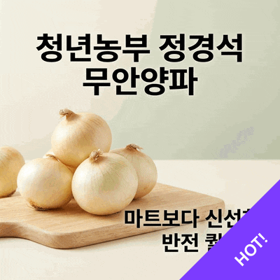 청년농부정경석 무안양파, 마트보다 신선한 반전 퀄리티