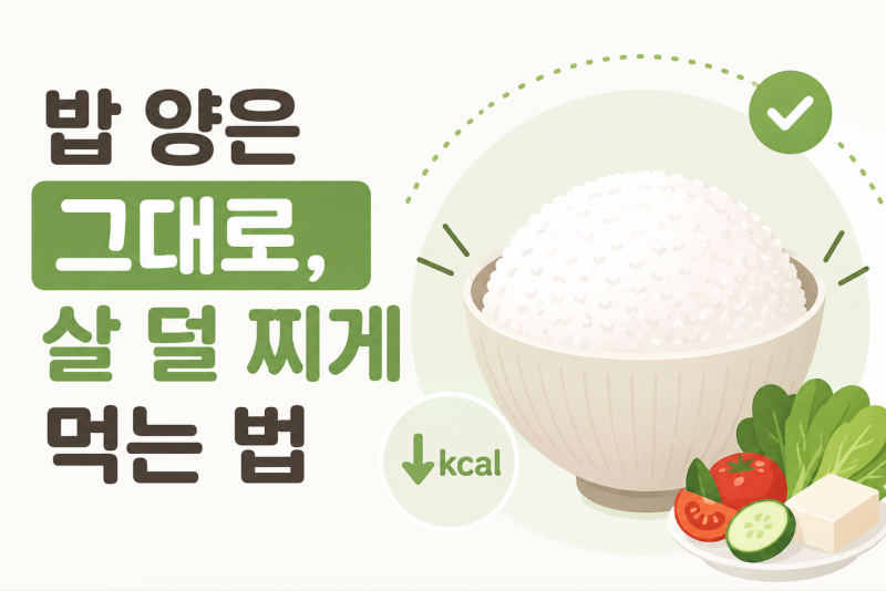 곤약밥 짓는법 곤약밥 비율 칼로리 곤약쌀 후기 추천