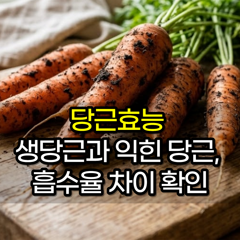당근효능 생당근과 익힌 당근, 흡수율 차이 확인