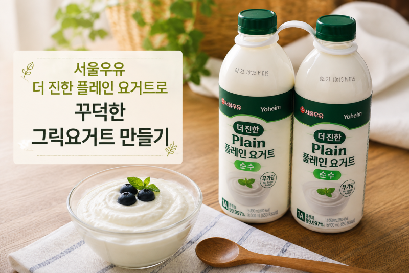 코스트코 서울우유 플레인 요거트 세일, 그릭요거트 만들어보니