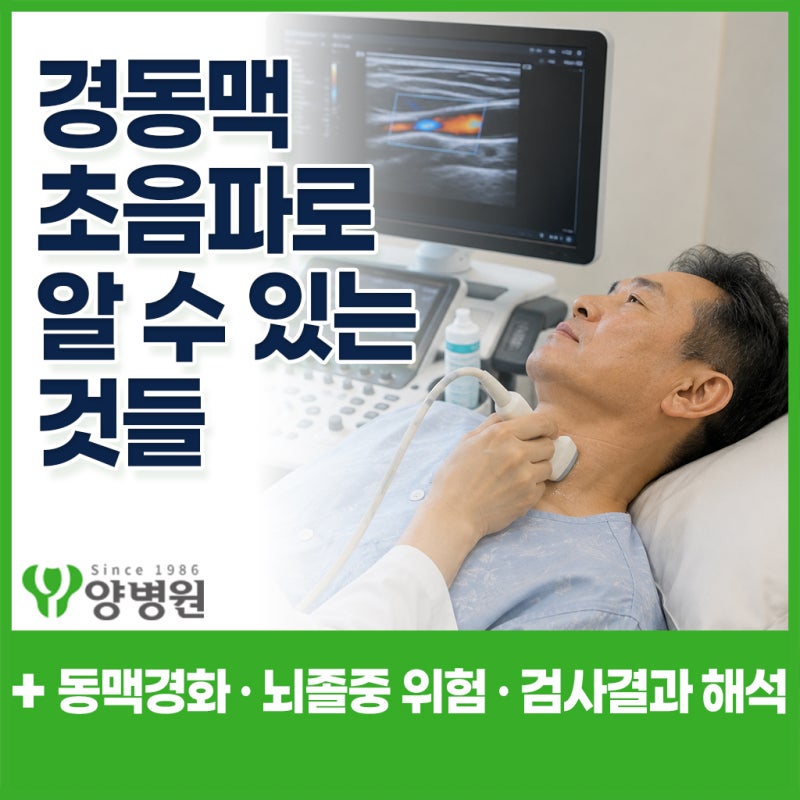 경동맥초음파로 알 수 있는 것은? 동맥경화·뇌졸중 위험과 검사 결과 해석 | 강동구 건강검....