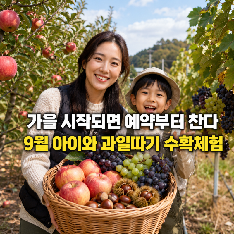 가을 시작되면 예약부터 챙긴다 서울근교 9월 아이와 사과 포도 밤 수확체험