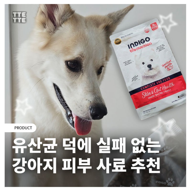 피부 및 피모 고민엔 유산균 함유된 강아지 피부 사료 인디고 추천