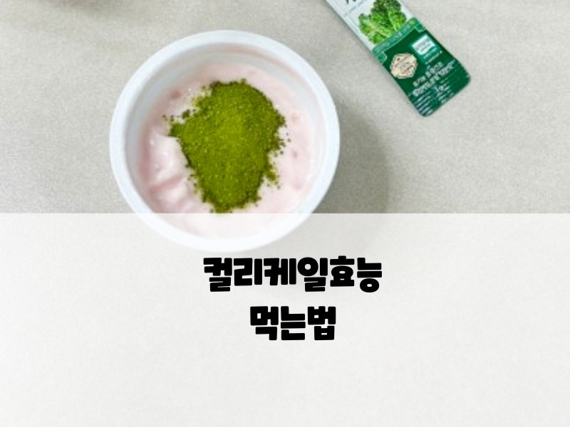 케일효능 컬리케일 가루 먹는법 일반 케일 차이점 및 활용 팁